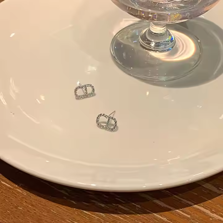 CD Earrings
